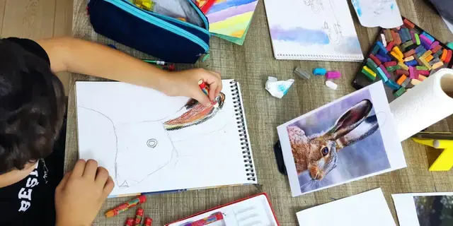 Referans fotoğrafa bakarak yapılan gözlem çizimi
